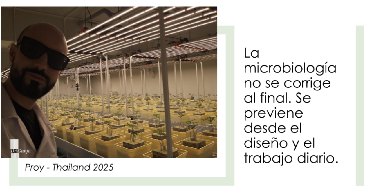 La microbiología no se corrige al final