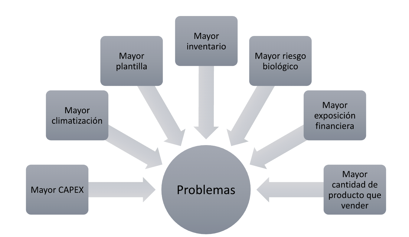 Problemas: mayor CAPEX, climatización, plantilla, inventario, riesgo biológico, exposición financiera y cantidad de producto que vender