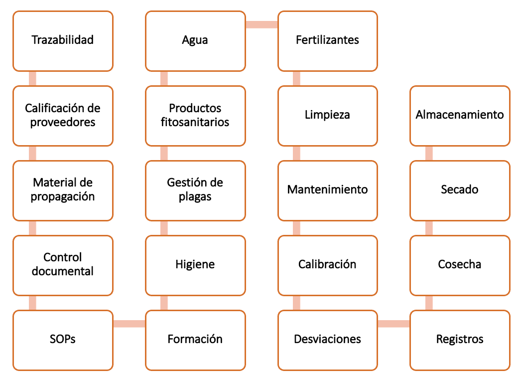 Todo está conectado